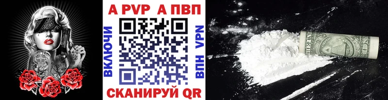 A PVP СК КРИС  мега зеркало  Балтийск 
