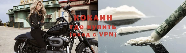 сатива Белоозёрский
