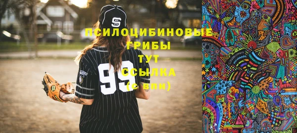 сатива Белоозёрский