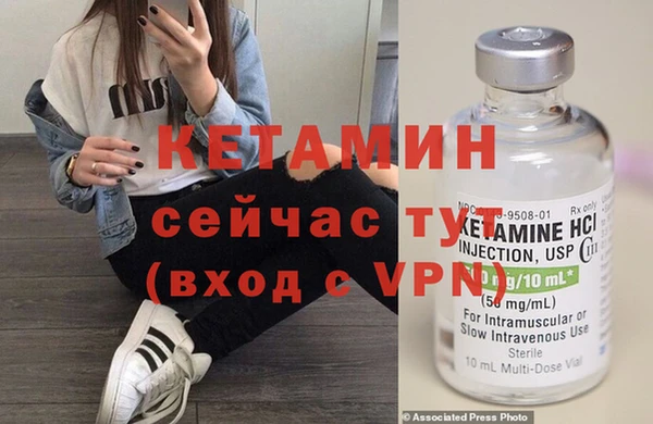 сатива Белокуриха