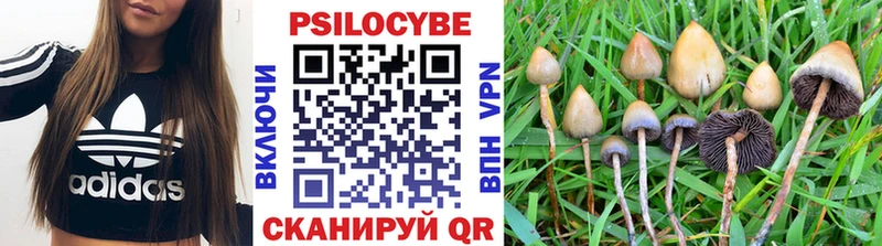 Галлюциногенные грибы Magic Shrooms  хочу   МЕГА ТОР  Балтийск 