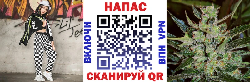 МАРИХУАНА семена  Балтийск 